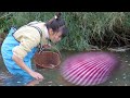 😘 Mysterious waters, girl discovers giant mutated river clams, joy of harvesting pearls