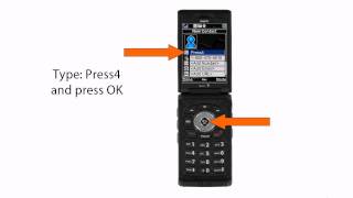 How to set up Press4 on your Sanyo SCP PRO-700