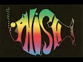 phish reba 5 16 95 lowell memorial auditorium