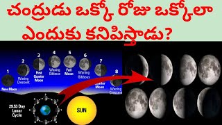 చంద్రుడు ఒక్కో రోజు ఒక్కోలా ఎందుకు కనిపిస్తాడు ? || Different Phases Of Moon || Facts Maava