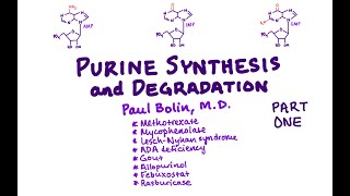 Purine Synthesis - CRASH! Medical Review Series