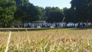 Hyde Park London UK (FREE TO USE VIDEO / TIME-LAPSE)