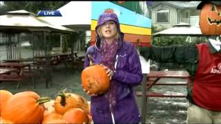 BT Vancouver: Applebarn Fall Experience At Taves Family Farms