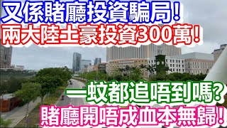 🔴又係賭廳投資騙局！兩大陸土豪投資300萬！賭廳開唔成血本無歸！｜CC字幕｜日更頻道