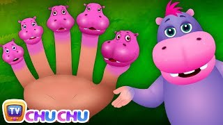 விரல் குடும்பம்  -  நீர்யானை (Finger Family Hippo) - ChuChu TV தமிழ் Tamil Rhymes For Children