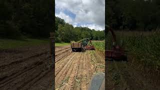 Chopping Silage 2022