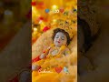 radhe radhe ❤🌹🙏 radheradhe radharani jaishreekrishna krishna viral video radharani reels