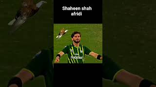 shaheen shah afridi #shorts #trending #status #cricket #viral