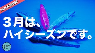 【2025年最新版】シーバス釣るのに3月がオススメな理由とは？！