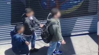 Surveillance video shows pickpocket crew targeting victims in SF's Chinatown