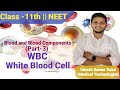 Human physiology | NCERT | Blood | Blood component part-3 | WBC | White Blood Cell | Class-11 | NEET