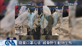 口罩垃圾 威脅野生動物生態｜中央社影音新聞