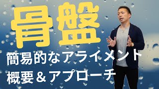 骨盤の簡易的な解剖学的解説！