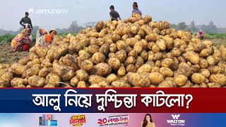 আগাম আলুর ব্যাপক চাষ; শৈত্যপ্রবাহ নিয়ে ভয় | Potato cultivation | Jamuna TV