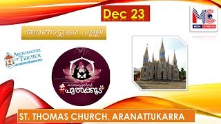 കാരുണ്യത്തിന്റെ പുൽക്കൂട് 23 I Aranattukara I Archdiocese of Trichur I Christmas 2018