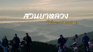 ความงดงาม บนดอยสูง “สวนยาหลวง” ขึ้นพะเยา-ลงน่าน (โหดมาก!!!) | Ep.19/2