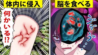 寄生虫が人間の体に入るとどうなるのか【アニメ】【漫画】