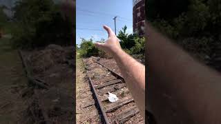 Bergstrom spur abandoned Railway  #10 Austin Texas