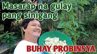 MASARAP NA GULAY PANG SINIGANG / BUHAY PROBINSYA