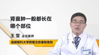 肾囊肿一般都长在哪个部位 王莹 首都医科大学附属北京康复医院