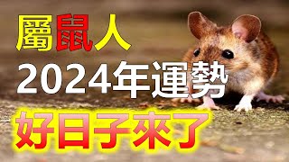 2024生肖運勢，十二生肖2024年對於生肖鼠來說，財運運勢較為穩定。但屬鼠人在財運方面也會遇到一些波折。生肖鼠收入穩定在2024年，能夠憑藉自己的能力獲得收入。屬鼠人通過投資增加自己的財富（生肖鼠）