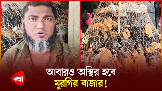 একদিন ব্যবধানে মুরগির দাম বেড়েছে ৩০ টাকা | Broiler Chicken | Bazar Update