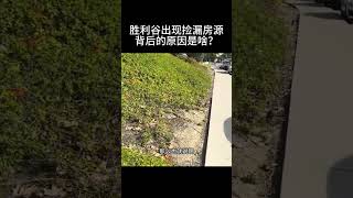 胜利谷出现捡漏房源背后的原因是啥？