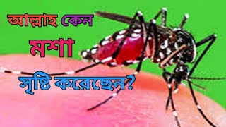 মশা সৃষ্টির রহস্য।। আমাদের চোখ।।