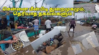 சென்னை மீன்பிடித் துறைமுகம்: எப்படி இருக்கும் தெரியுமா !