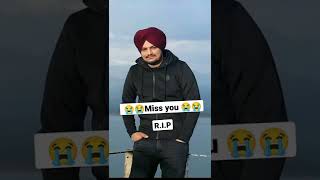 miss you sidhu moose wala status