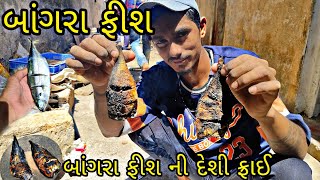 બાંગરા  ની દેશી ફ્રાઈ || fishcoking || veraval fish export || #viral #fish #kucing #veraval