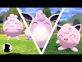 【Pokemon Camp】Igglybuff・Jigglypuff・Wigglytuff＆Shiny Cute Song