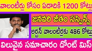 గ్రామ వార్డు వాలంటీర్లకు ఏడాది 1200 కోట్లు కేటాయింపు ? జనవరి జీతం సస్పెన్స్ ! Grama Volunteer