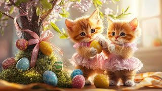 Kittens celebrate Easter#funnycats​​​#cute​cat​​ #catdanceshow​​#petdance​​ #cat#2025