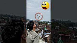 amazing pigeon landing 🛬 part 8 | #pigeon #kabootar #shortsfeed #shorts