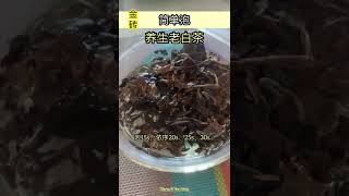 深受女性欢迎的茶？养生老白茶【金砖2015】福鼎白茶｜华香白茶 WHITE TEA