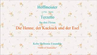 Hoffmeister : Terzetto (Trio) \