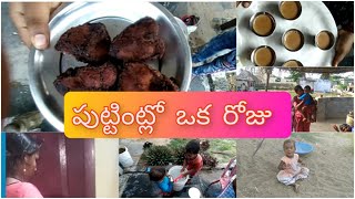 #vlog#నా పుట్టింట్లో ఒక పూట #😄❤😄 one half day in my puttinillu🤣🤣