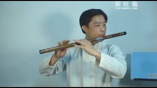 聽海／Alto bB Chinese Bamboo Flute／DiZi／bB調曲笛吹奏版