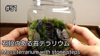 石段のある苔テラリウムを作りました　#苔テラリウム　#terrarium #moss