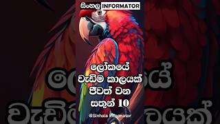 ලෝකයේ වැඩිම කාලයක් 🧬 ජීවත්වන සතුන් 10