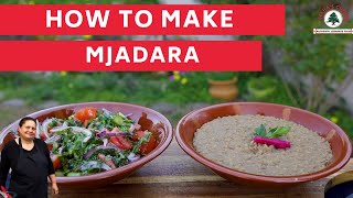 How to make Lebanese mjadara