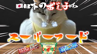 アメリカ留学中、日本のお菓子を振る舞ったら...ぷっちょ,じゃがりこ編+α【猫ミーム総集編】【猫マニ】