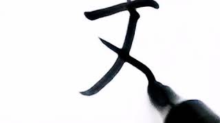 如何写这字/pinyin zhe in chinese/超减压视频/硬笔书法练习/简体字/汉字学习/中文/普通话/写字练习/3000国家标准汉字#783