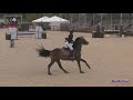 nee premier grand prix class 236 1.20m jumpers april 2019