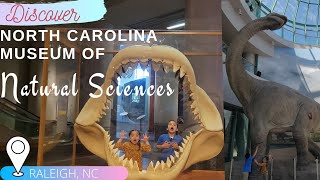 North Carolina Museum of Natural Sciences |The Hudson's Hub