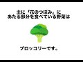 【有益な雑学】人生に役立つ有料級の野菜の雑学