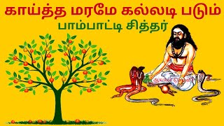 காய்த்த மரமே கல்லடி படும் - பாம்பாட்டி சித்தர் | |Pambatti Siddhar Padalgal