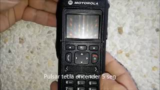 EMISORA MOTOROLA