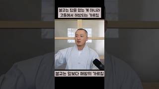 불교는 앎보다 해방의 가르침이다  #진리 #깨달음 #수행 #불교